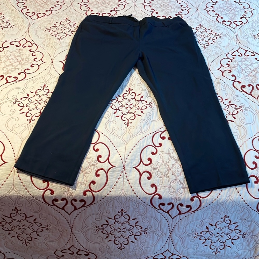 Navy plus size trousers size 24